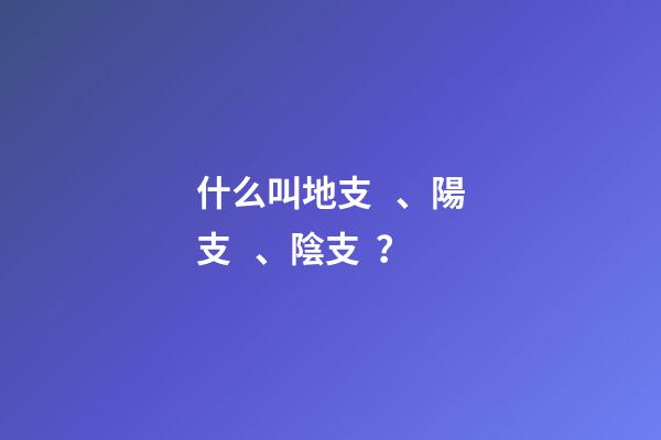 什么叫地支、陽支、陰支？